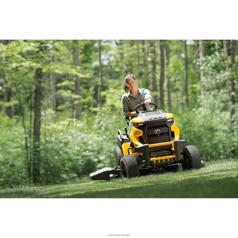 Equipment N4X8R41 Cub Cadet XT2 GX54 D