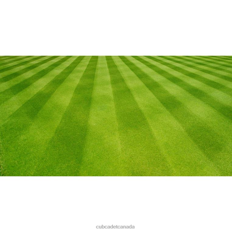 Accessory N4X8R101 Cub Cadet Lawn Striping Kit for 50- and 54-in Decks