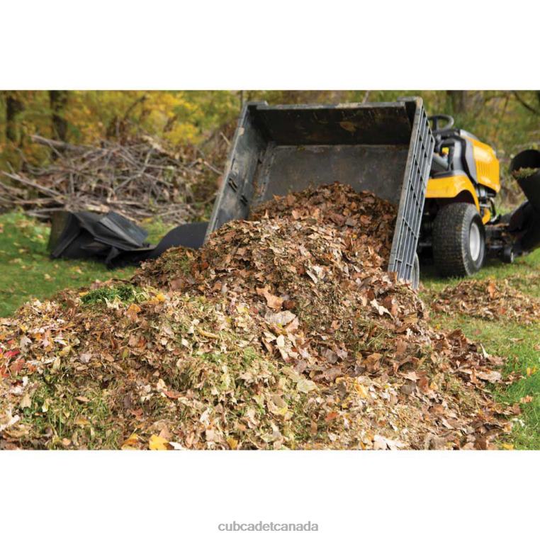 Accessory N4X8R60 Cub Cadet Leaf Collector For 42 and 46-inch Decks