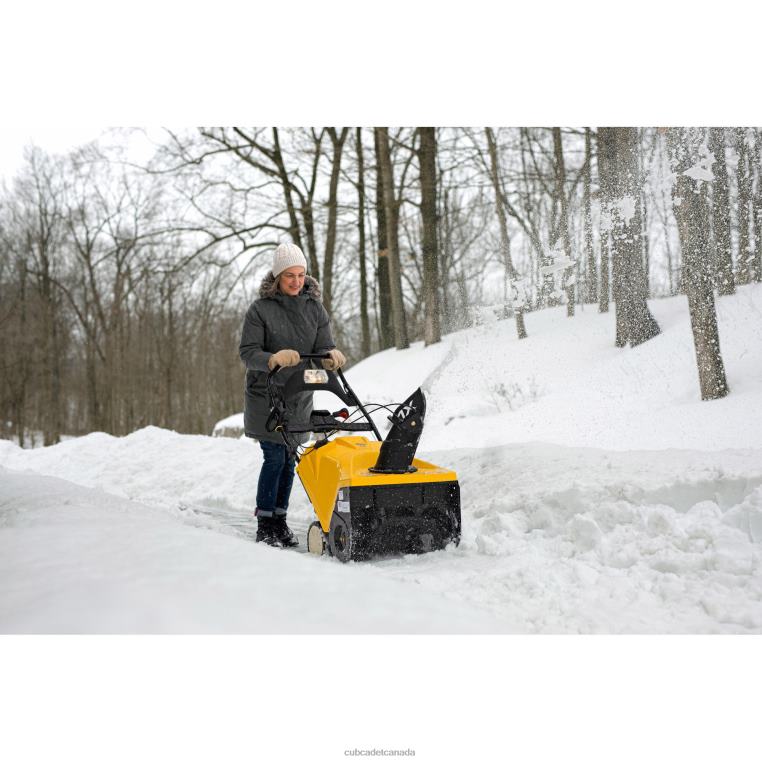 Equipment N4X8R212 Cub Cadet 1X 21